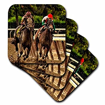 【中古】【輸入品・未使用】ロニ・チャステイン・フォトグラフィー動物2つ???馬と騎手Racing to Finish..