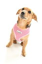 【中古】【輸入品・未使用】Doodlebone Mesh Harness - Large - Pink