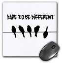 【中古】【輸入品・未使用】3dRose LLC 8 x 8 x 0.25 Inches Mouse Pad%カンマ% Birds on A Wire Dare ...