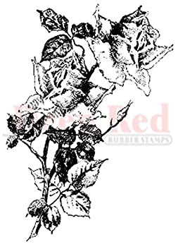 【中古】【輸入品・未使用】Deep Red Cling Stamp 1.5%ダブルクォーテ%X3%ダブルクォーテ%-Roses Pen &..