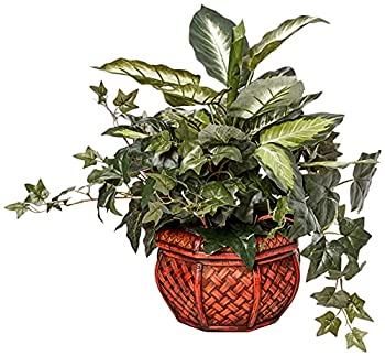 šۡ͢ʡ̤ѡNearly Natural 6732 Dieffenbachia and Ivy with Decorative...