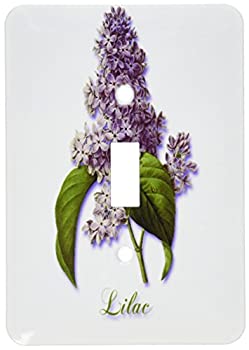 šۡ͢ʡ̤ѡ3drose LSP _ 171228?_ 1饤åʪΰA٥Spring Blooming Fragrantե饤ȥåС