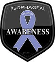 【中古】【輸入品・未使用】ProSticker 2521?( 1つ) 4?%ダブルクォーテ% Cancer Awarenessシリーズ「食道」デカールステッカー(2)