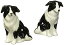 šۡ͢ʡ̤ѡCosmos 20870 Gifts Ceramic Border Collie Salt and Pepper Set%% 6.4cm