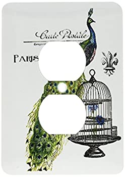 【中古】【輸入品・未使用】3drose LSP _ 178821?_ 6パリPeacock on鳥ケージライトスイッチカバー
