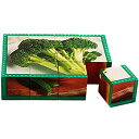 【中古】【輸入品 未使用】(Vegetables) - Stages Learning Real Picture Vegetables Wooden Cube Language Builder Preschool Puzzle (12 Piece) カンマ Green 並行輸入品