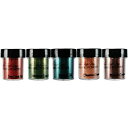 【中古】【輸入品・未使用】Lindy's Stamp Gang 2-Tone Embossing Powder .5oz 5/Pkg-Autumn (並行輸入品)