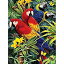 【中古】【輸入品・未使用】Junior Small Paint By Number Kit 8.75%ダブルクォーテ%X11.75%ダブルクォーテ%-Majestic Macaws (並行輸入品)