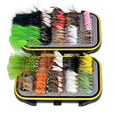 šۡ͢ʡ̤ѡ(100Pieces flies + Pocket Fly box) - Outdoor Planet Waterproof Fly Box with Dry/Wet/Nymph/Streamer Trout Fly Fishing Flies Lure