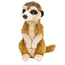 【中古】【輸入品・未使用】Wild Republic CK-Mini Meerkat 8' Animal Plush [並行輸入品]