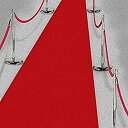 【中古】【輸入品・未使用】Red Carpet Runner