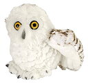 【中古】【輸入品・未使用】Wild Republic CK-Mini Snowy Owl 8' Aninal Plush [並行輸入品]【メーカー名】Wild Republic【メーカー型番】【ブランド名】Wild Republic【商品説明】Wild Republic CK-Mini Snowy Owl 8' Aninal Plush [並行輸入品]当店では初期不良に限り、商品到着から7日間は返品を 受付けております。こちらは海外販売用に買取り致しました未使用品です。買取り致しました為、中古扱いとしております。他モールとの併売品の為、完売の際はご連絡致しますのでご了承下さい。速やかにご返金させて頂きます。ご注文からお届けまで1、ご注文⇒ご注文は24時間受け付けております。2、注文確認⇒ご注文後、当店から注文確認メールを送信します。3、配送⇒当店海外倉庫から取り寄せの場合は10〜30日程度でのお届けとなります。国内到着後、発送の際に通知にてご連絡致します。国内倉庫からの場合は3〜7日でのお届けとなります。　※離島、北海道、九州、沖縄は遅れる場合がございます。予めご了承下さい。お電話でのお問合せは少人数で運営の為受け付けておりませんので、メールにてお問合せお願い致します。営業時間　月〜金　10:00〜17:00お客様都合によるご注文後のキャンセル・返品はお受けしておりませんのでご了承下さい。