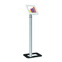 yÁzyAiEgpzPyle PSPADLK38 Anti-Theft iPad/Tablet Kiosk Public Display Floor Stand (Works with iPad Generations 2%J}% 3%J}% 4%J}% iPad Air%J}%