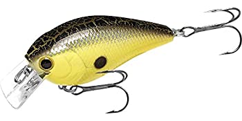 【中古】【輸入品・未使用】LC 1.5 Black Moss