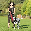 【中古】【輸入品・未使用】The Company of Animals Halti Training Lead Red%カンマ% Small%カンマ% Red ...