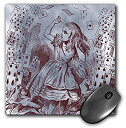 【中古】【輸入品 未使用】3Drose LLC 8 X 8 X 0.25 Inches Mouse Pad カンマ Alice with Playing Cards Vintage Alice in Wonderland (Mp_110209_1) 並行輸入品