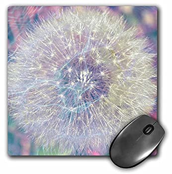 【中古】【輸入品・未使用】3dRose LLC 8 x 8 x 0.25 Inches Mouse Pad%カンマ% Making a Wish Vision- Pastel Dandelion- Flowers (mp_33727_1) [並行輸入品]