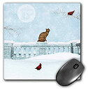【中古】【輸入品・未使用】3dRose LLC 8 x 8 x 0.25 Inches Mouse Pad%カンマ% Cat and Cardinals in ...