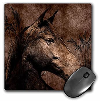 【中古】【輸入品・未使用】3dRose Horse in the Grass done in Western Brown Grunge and Charcoal. -..