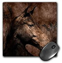 【中古】【輸入品・未使用】3dRose Horse in the Grass done in Western Brown Grunge and Charcoal. - Mouse Pad%カンマ% 8 by 8 inches mp_127615_1 [並行輸入品]