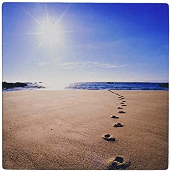 【中古】【輸入品・未使用】3dRose LLC 8 x 8 x 0.25 Inches Mouse Pad%カンマ% Footprints in S and %カンマ% Abel Tasman National Park-Au01 Dwa2064 - David Wall (mp_72204_1