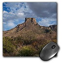 【中古】【輸入品・未使用】3dRose Casa Grande Peak Chisos Basin Big Bend National Park Texas USA Mouse Pad (mp_190428_1) [並行輸入品]