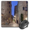 【中古】【輸入品・未使用】3dRose Old Roman Gate Gothic Quarter Barcelona Spain Eu27 Rti0031 Rob Tilley Mouse Pad (mp_139134_1) [並行輸入品]
