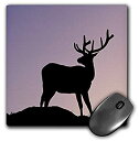 【中古】【輸入品・未使用】3dRose LLC 8 x 8 x 0.25 Inches Colorado Rocky Mountain National Park Elk Gavriel Jecan Mouse Pad (mp_88916_1) [並行輸入品]