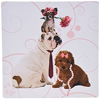 【中古】【輸入品・未使用】3dRose 8 x 8 x 0.25 Inches Mouse Pad%カンマ% Bulldog in Necktie%カンマ% Papillion Dog in Pink Hat and Terrier in Pearls mp_127599_1 [並行輸