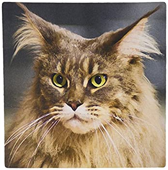 【中古】【輸入品・未使用】3dRose LLC 8 x 8 x 0.25 Inches Mouse Pad%カンマ% Maine Coon (mp_4497_1) [並行輸入品]