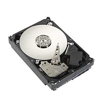 【中古】【輸入品・未使用】500GB 5900RPM SATA DVR (ST3500312CS) - by Seagate Bulk [並行輸入品] 1