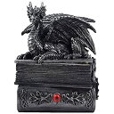 yÁzyAiEgpzMythical Guardian Dragon Trinket Box Statue with Hidden Book Storage Compartment for Decorative Gothic & Mediaeval Home Decor Sculpture