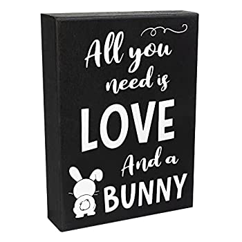 【中古】【輸入品・未使用】jennygems木製サインAll You Need Is Love。。。and a bunny