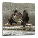 【中古】【輸入品・未使用】3DローズUSA-アラスカ-チルカットプリザーブ。 ハクトウワシ ファイティングウォールクロック 15インチ x 15インチ