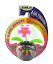 šۡ͢ʡ̤ѡ[Υ٥ƥ]Novelty Inc. Solar Powered Dancing Flower w/Air Freshener One Item w/Random Color and Design [¹͢]