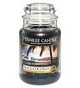 【中古】【輸入品 未使用】Yankee Candle Classic Large Jar Candle in Black Coconut - 黒ココナッツでヤンキーキャンドル古典的な大きな瓶キャンドル (Yankee Candle)