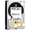 yÁzyAiEgpzWestern Digital 250 GB WD RE SATA III 7200 RPM 64 MB Cache Bulk/OEM Enterprise Hard Drive WD2503ABYZ [sAi]