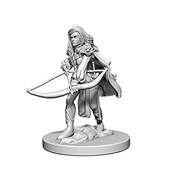 【中古】【輸入品・未使用】Pathfinder: Deep Cuts Unpainted Miniatures: Human Female Fighter