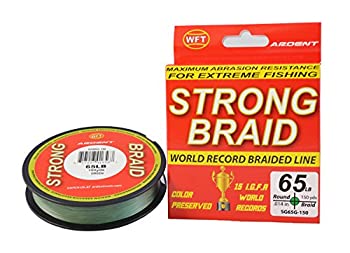 šۡ͢ʡ̤ѡArdent Strong Braid 65?#饤󡢥꡼