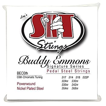 【中古】【輸入品・未使用】S.I.T. String BEC6th Buddy Emmons Pedal Steel C6th Tuning Guitar String [並行輸入品]