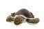 šۡ͢ʡ̤ѡWild Republic 21653 a%% plush turtle - soft plush for children