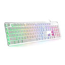 【中古】【輸入品・未使用】LANGTU メンブレンゲーミングキーボード レインボーLEDバックライト静かなキーボード オフィス用 USB有線全金属パネル 25キー アンチゴーストコ(2)