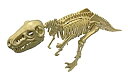【中古】【輸入品・未使用】モノクローム 恐竜化石発掘モデルシリーズ ティラノサウルス 全長約30cm プラスチック製骨格標本模型 DMK01