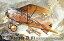 šۡ͢ʡ̤ѡRoden Albatross D.III Austro-Hungarian Fighter Airplane Model Kit [¹͢]