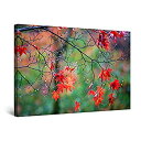 【中古】【輸入品・未使用】Startonight Canvas Wall Art Decor Red Leaves in the Morning Paintin...