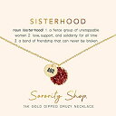 【中古】【輸入品・未使用】Sorority Shop Alpha Omicron Pi Sisterhood Druzy ネックレス