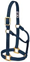 【中古】【輸入品・未使用】Weaver Leather ホルター 調節不可 Small Horse(4)