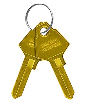 Salsbury Industries 2299 Key Blanks for Standard Locks of Aluminum Mailboxes (Box of 50) by Salsbury Industries