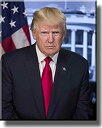 【中古】【輸入品・未使用】(28cm x 36cm) - Donald Trump Portrait on Stretched Canvas Wall Art ...