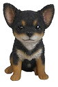 【中古】【輸入品・未使用】Hi-Line Gift Ltd. チワワ子犬像 庭に ブラック 87771-W(3)